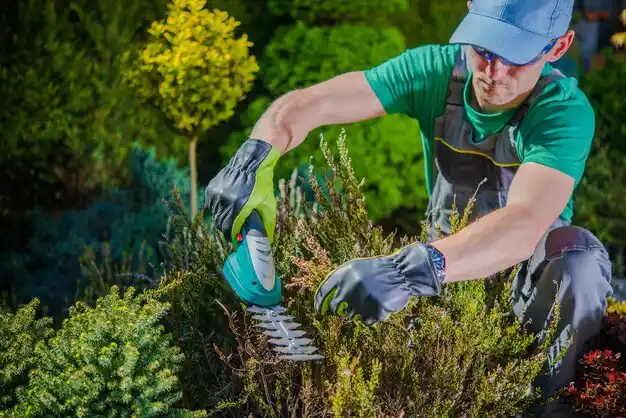landscaping services Chaffee